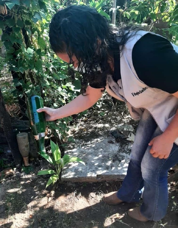 Dengue: Caaguazú combate proliferación de criaderos | 1000 Noticias