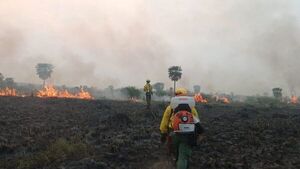 Infona suspende quemas para evitar incendios forestales