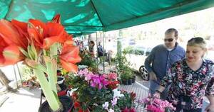 La Nación / Harán competencia de arte floral