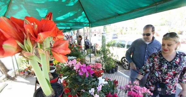 La Nación / Harán competencia de arte floral