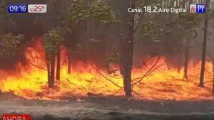 Infona suspende quemas para evitar incendios forestales - Paraguaype.com