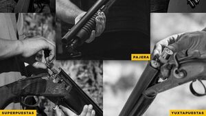 Uso responsable de escopetas: cuántos tipos existen y cómo utilizarlas