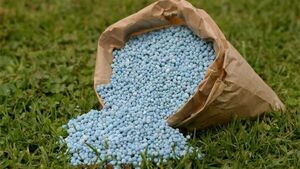 El precio de los insumos para fertilizantes se dispara en más de 160% | Agronegocios | 5Días