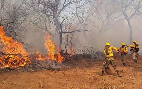 Bomberos piden tomar consciencia y no provocar incendios forestales – Prensa 5
