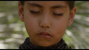 “Eami”, de la directora Paz Encina, representará a Paraguay en los Óscar | Cultura y Espectáculos | 5Días