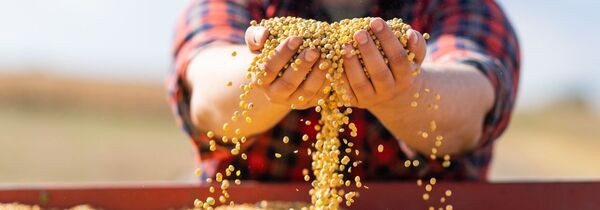 Paraguay producirá 10 millones de toneladas de soja en la zafra 2022/2023, según estimaciones de EEUU - MarketData