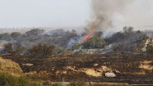 Director de WWF Paraguay: 'Debemos aprender a manejar el fuego'.