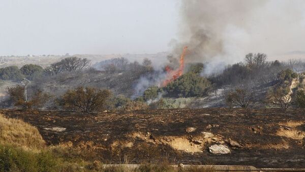 Director de WWF Paraguay: 'Debemos aprender a manejar el fuego'.