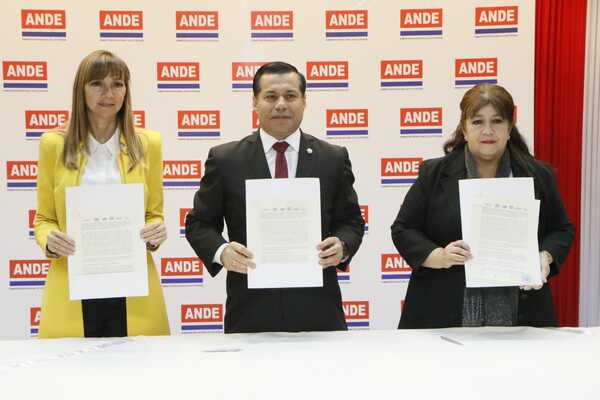 Ministerio de Trabajo y ANDE impulsarán formación de técnicos para el sector eléctrico - .::Agencia IP::.