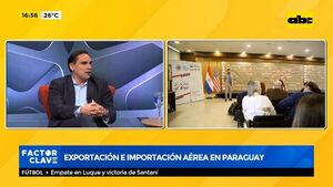 Exportación e importación aérea en Paraguay - ABC Noticias - ABC Color