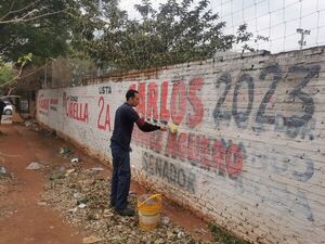 Precandidatos siguen violando ley electoral - Nacionales - ABC Color