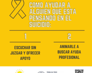 Socializan servicios para tratar la salud mental en el Sistema Público