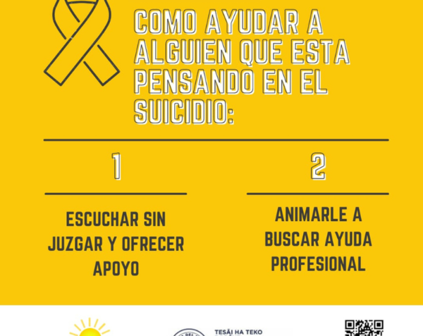 Socializan servicios para tratar la salud mental en el Sistema Público
