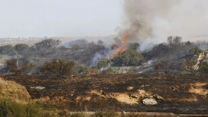 Director de WWF Paraguay: “Debemos aprender a manejar el fuego”