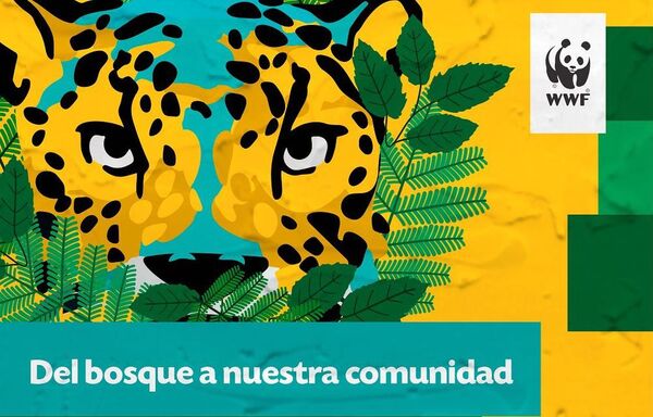 ¡Participá del concurso de murales de Paraguay Más Jaguareté!