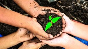 Acciones concretas para ayudar a mejorar y transformar la agricultura | Columnas | 5Días