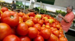 Titular de Capasu niega venta de tomates de contrabando “mezclados” con los nacionales