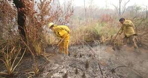 La Nación / Monitoreo indica que riesgo de incendios forestales se mantendrá de leve a bajo en ambas regiones