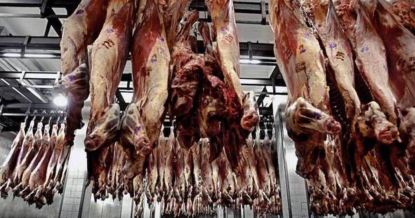 La Nación / Señalan que precio actual de la carne permite seguir invirtiendo