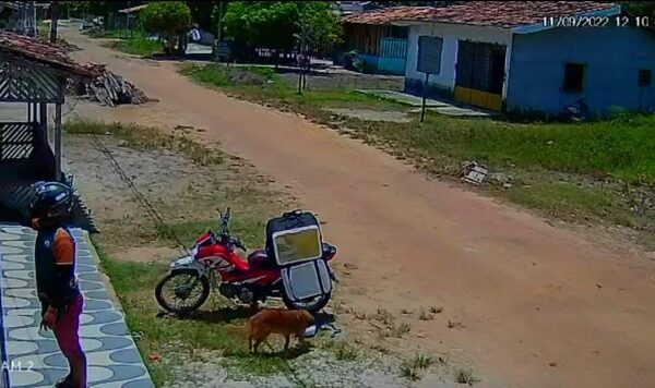 (VIDEO) Firulais robó a un delivery de comida