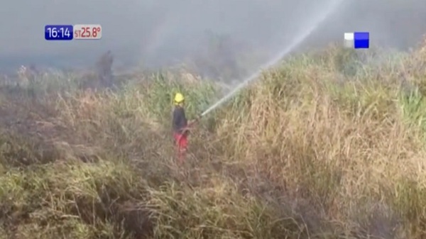 Fuego arrasa con pastizales de Paraguarí y Carapeguá | Noticias Paraguay