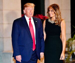 Melania acusó a Trump de subestimar la seriedad de la pandemia, según libro - Mundo - ABC Color