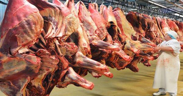La Nación / Avanzan negociaciones para lograr exportación de carne a Canadá