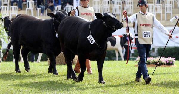 La Nación / Precio actual de la carne permite seguir invirtiendo