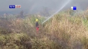 Fuego arrasa con pastizales de Paraguarí y Carapeguá - Paraguaype.com