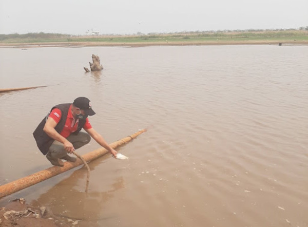 Bajante del río: hoy se ha roto el récord mínimo histórico | 1000 Noticias