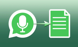 Cómo transcribir audio a texto en WhatsApp - OviedoPress
