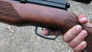 Ataron a perro y le dispararon con rifle