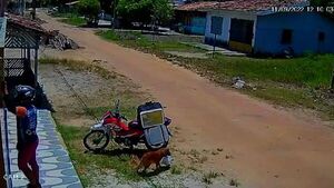 El “firulais” de la semana: aprovechar la oportunidad no es perjudicar - Nacionales - ABC Color
