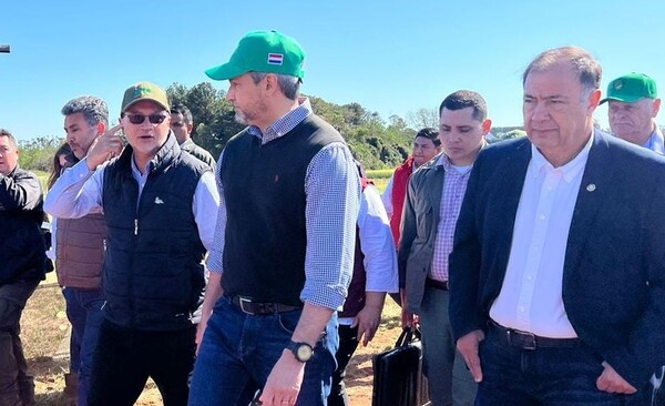 Afara quiere ser reelecto, pero prefiere hacer proselitismo que trabajar en el Senado - ADN Digital