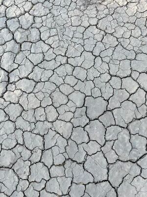 Urge declaración de ley de emergencia por sequía en el Chaco - Noticias del Chaco - ABC Color