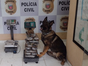 Cae pareja que integra organización que transporta drogas desde Paraguay - La Clave
