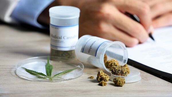 Inglaterra podría rever el uso medicinal de la marihuana