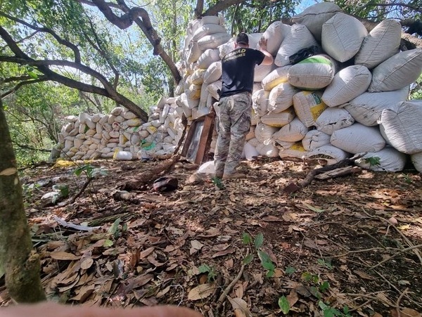 SENAD desmanteló red campamentos con casi 42 toneladas de marihuana en Amambay