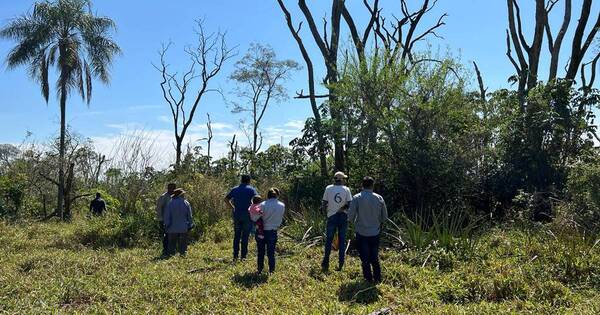 La Nación / Realizaron excavaciones en estancia para buscar restos de Edelio Morínigo ante ”nueva información“