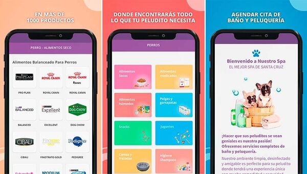Tecnología para mascotas: Llegó la app Envíos Pet
