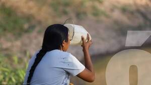 Crónica / Desesperante sequía: En el Chaco claman por agua