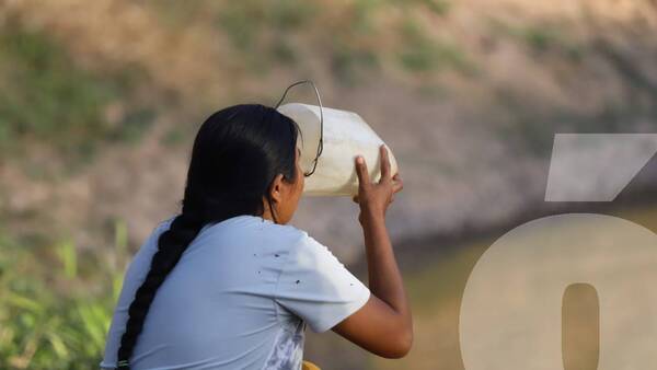 Crónica / Desesperante sequía: En el Chaco claman por agua