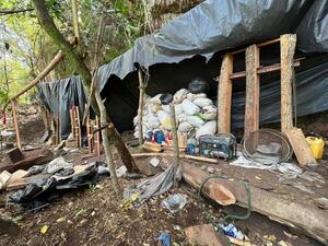 Senad desmanteló "narcocampamentos" en Amambay e incautó 42 toneladas de marihuana - Unicanal