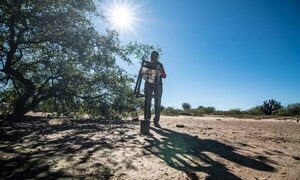 Sigue la intensa sequía en el Chaco y los pobladores claman por agua