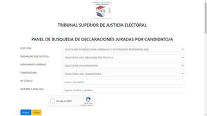 TSJE: financiamiento político de precandidatos es público desde hoy, pero la verificación es engorrosa - Política - ABC Color