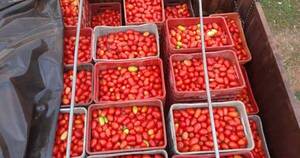 La Nación / De no parar el contrabando dejarían de vender tomates