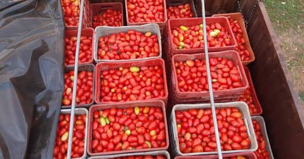 La Nación / De no parar el contrabando dejarían de vender tomates