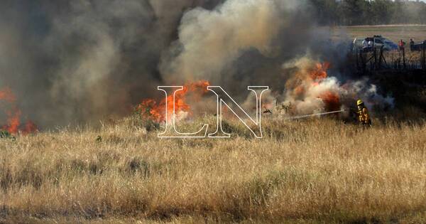 La Nación / Infona reporta riesgo leve de incendios forestales pese a la sequía