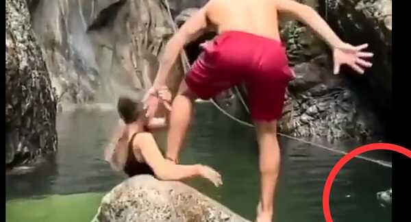 (VIDEO)¡Otra más de firulais!: Asustó a parejita en medio de sesión de fotos y los tumbó al lago