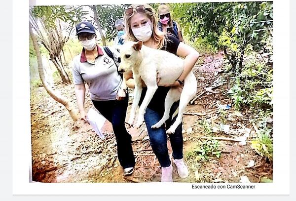Diario HOY | Condenan a un hombre por abusar sexualmente de su mascota en Caaguazú